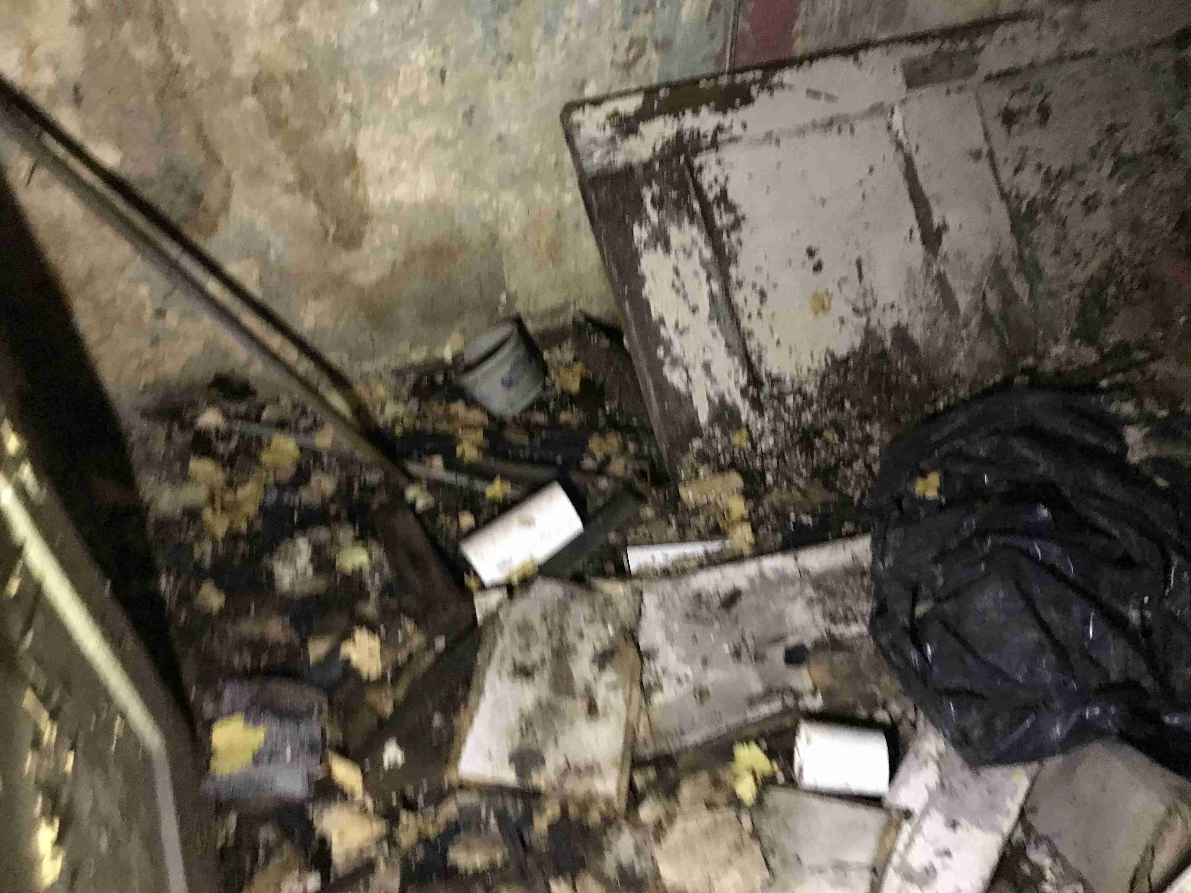 Photo Oct 13, 3 48 20 PM.jpg